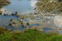 021 West Thumb Geyser Basin