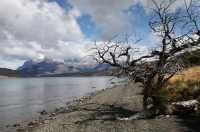 37 Lago azul & Torres del Paine