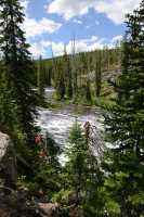 109 Lewis River (Lewis Falls)