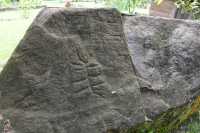 032 Pétroglyphes - Fare Hape