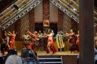 209 Spectacle maori (Te Po)