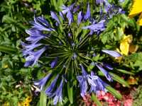 92 Jardin des plantes