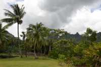 76 Haapiti (derrière l'église de la Sainte Famille)