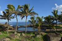 07 Derrière Ahu Arongo