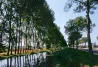 507 Sud du forum d'Appius