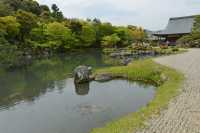 108 Temple Tenryu-ji
