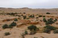 10 Désert près de Shivta