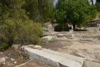 02 Basilique byzantine du nord (5°s) Emmaüs - Amwas-Nicopolis