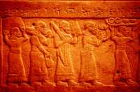 558 Socle du trône de Salmanazar III