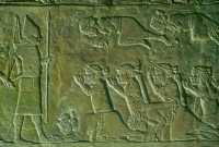 638 Palais d'Assurbanipal, reddition de la cité élamite de Hamanu