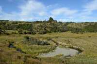 019 Sur la route de Milford Sound B