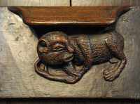 078 Stalle - Quadrupède