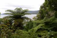 085 Queen Charlotte Sound - Anakiwa