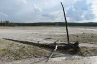 49 Lower Geyser Basin B