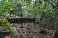 30 Nord du Marae Afareaito (Vallée d'Opunohu)