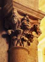 21 Feuilles & têtes