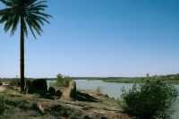 437 Le Tigre à Balad