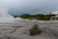 16 Norris Geyser Basin B