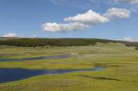 79 Yellowstone River