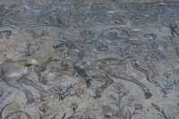 030 Maison du Nil - Mosaïque du Nil - Cavalier