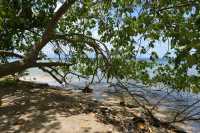 20 Côte est de Moorea (près de Vaiare)