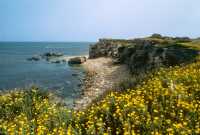 049 Entre le port et le rempart Nord