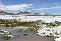 099 Lagune de Parinacota