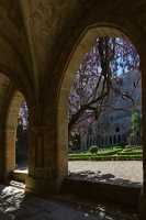 12 Cloître - Abbaye de Fontfroide