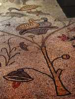 30 Mosaïque - Poules d'eau