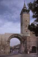 237 Damas porte orientale