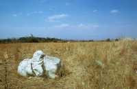 300 Restes de statue équestre