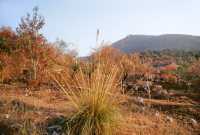 489 Via Appia entre Cumes et Anxur