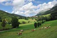 070 Sud de Rencurel **