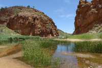 20 Glen Helen Gorge B