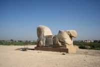 028 Protomé de taureaux *