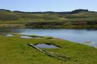 058 Yellowstone River (Nord de Lake Village) B
