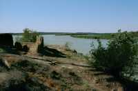 438 Le Tigre à Balad