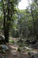 40 Quailburn Track (Benmore Run, Ahuriri Park)