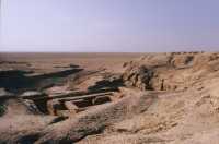 138 Batiment de pierre (vers 3000) vu du temple d'Anu