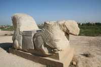 029 Suse - Protomé de taureaux *