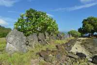137 Marae Opu Teina (Taputapuatea)