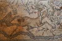 028 Maison du Nil - Mosaïque du Nil - Scène de chasse