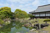 036 Château Nijo-jo (Parc)