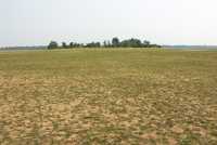 10-Mébon Occidental *