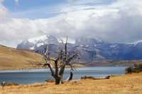 76 Lago azul & Torres del Paine