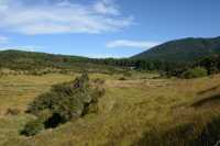 020 Sur la route de Milford Sound B