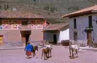 099 Pisac