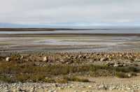 08 Lenca au sud de Puerto Montt