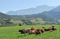 105 Entre Lalley & Treminis