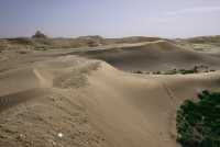 054 Nippur - Quartier Ouest